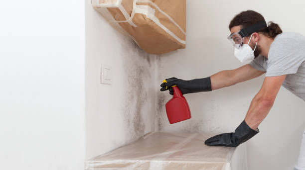 Professional Attic Mold Removal technician working in Elizabeth, NJ