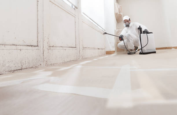 24/7 Emergency Attic Mold Removal experts in Elizabeth, NJ